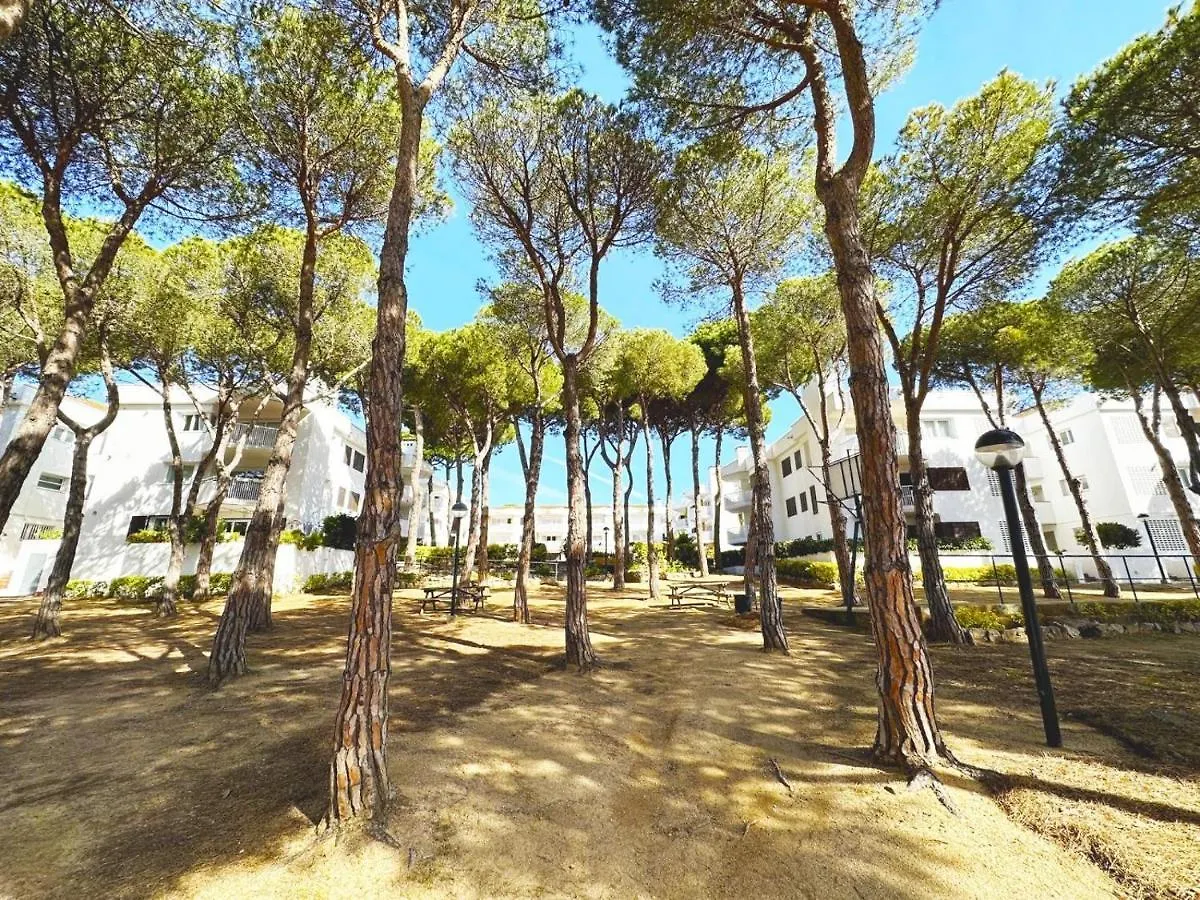 0311 Apartment In Calella De Palafrugell
